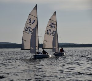 Adult_2_420s_downwind_0645