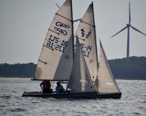 Adult_2_420s_upwind_0645